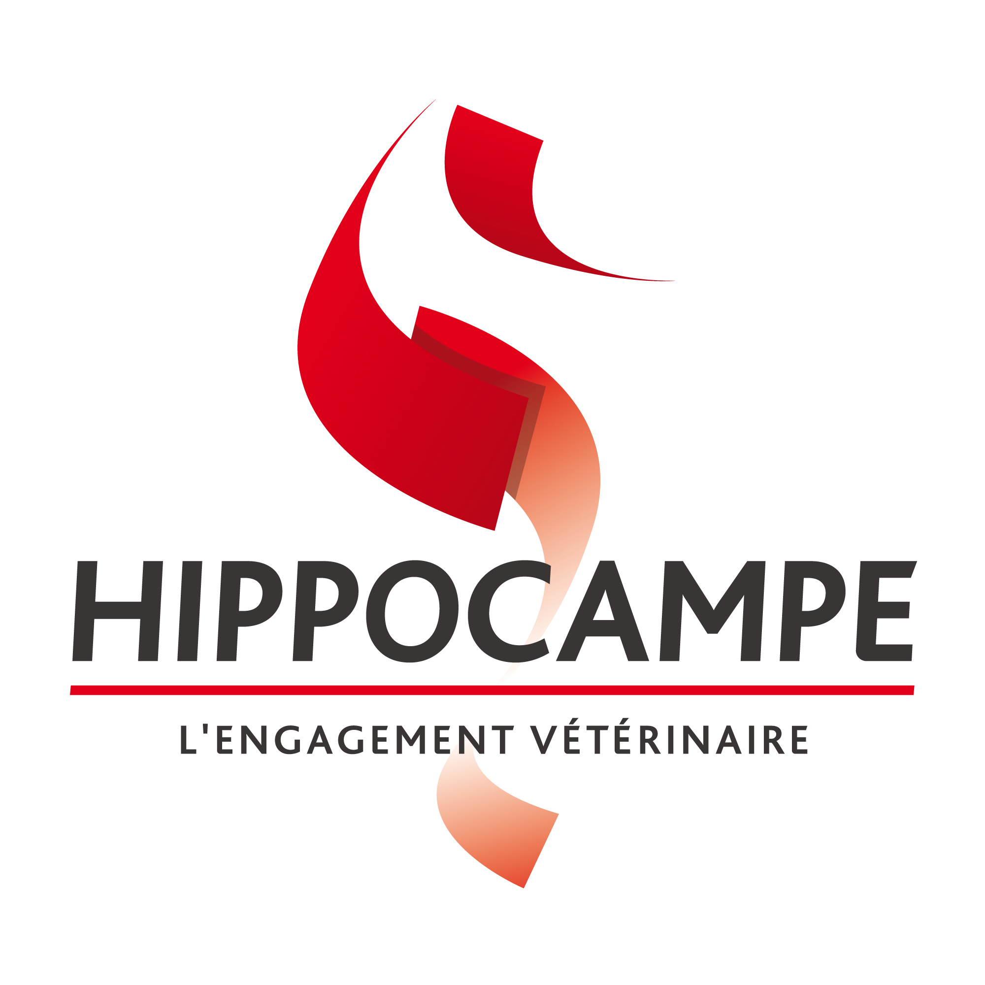 HIPPOCAMPE